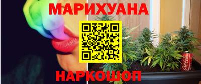шишки Дубна