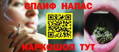 шишки Дубна