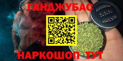 шишки Дубна