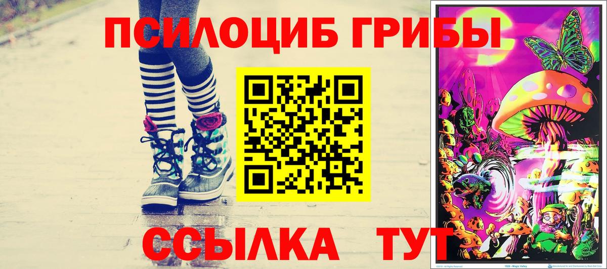 Галлюциногенные грибы ЛСД  Вход с VPN  Котовск 