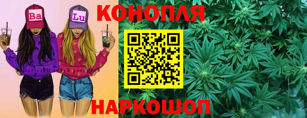 Каннабис план Котовск